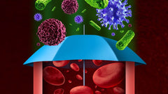 A importância de uma flora intestinal equilibrada para o sistema imunitário