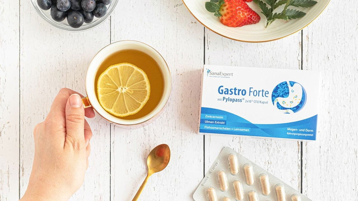 Descubre los beneficios del extracto de olmo para la flora intestinal