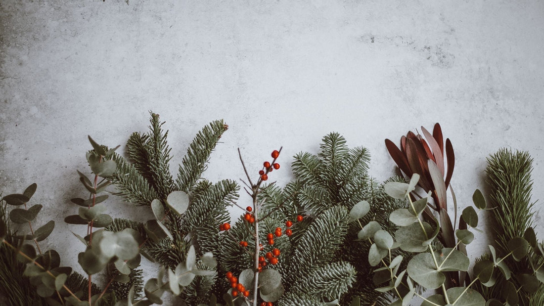 Navidad tranquila y en armonía