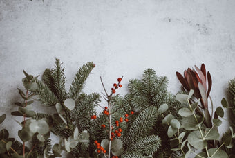 Como viver o Natal de forma serena e em harmonia