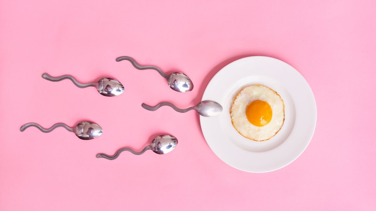 Ovulação: tudo o que precisa de saber se quer engravidar