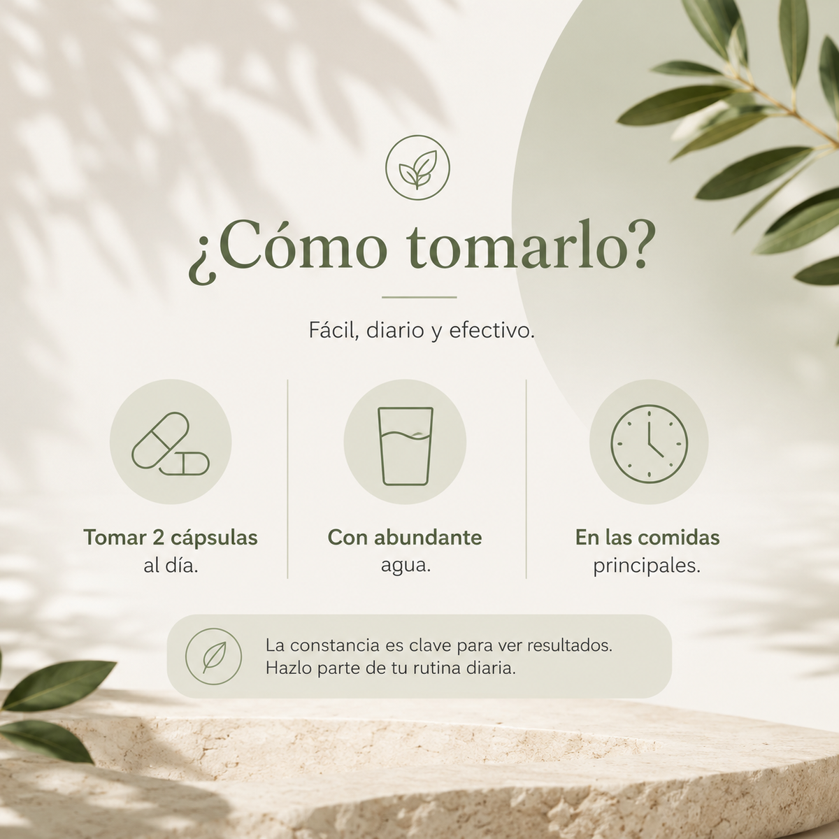 SanaExpert LeberVital Pro