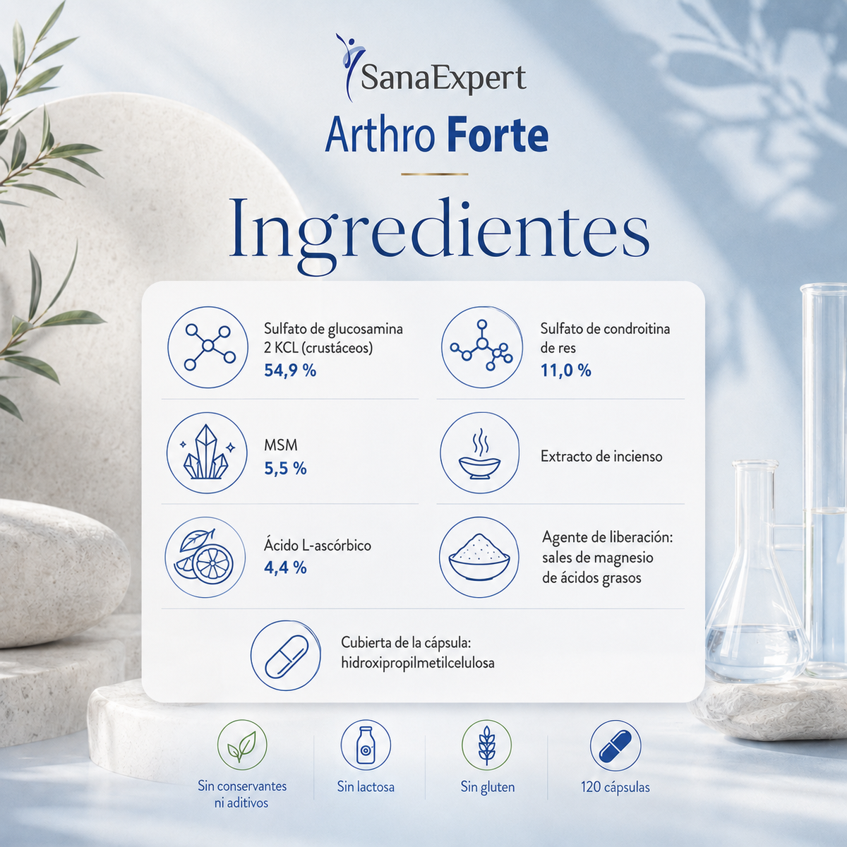 SanaExpert Arthro Forte