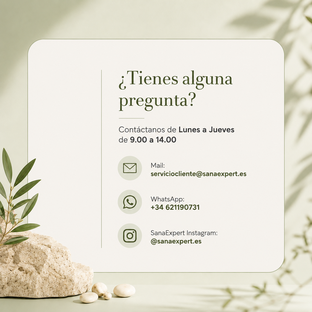 SanaExpert LeberVital Pro
