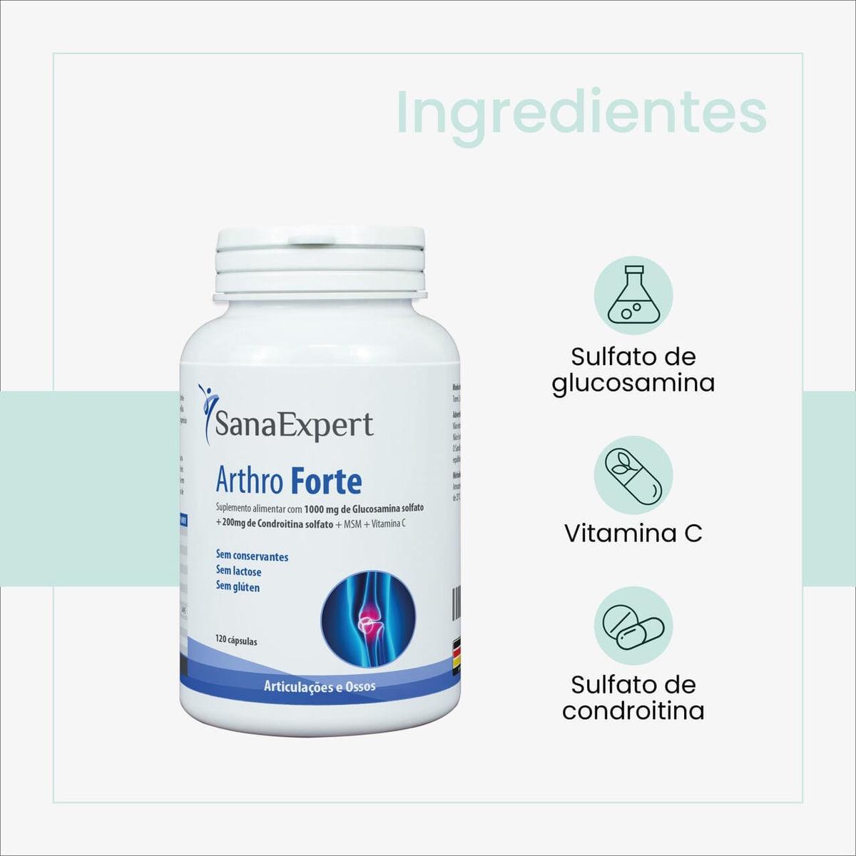 SanaExpert Arthro Forte